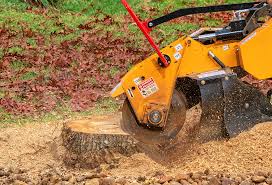 Best Aeration Services  in Winnemucca, NV